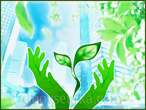 ecologicheskaya-kultura