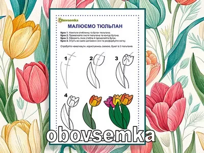 Вчимося малювати. Малюємо тюльпан за 4 кроки.