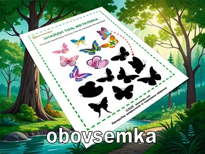Розвиваємо спостережливість. Знайдіть тінь метелика.
