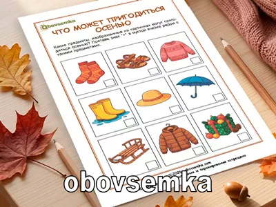 Предметы которые понадобятся нам осенью