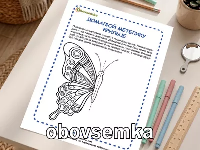 домалюй метелика по законам симетрії